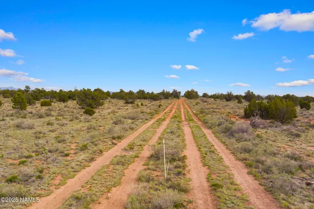 a view of an ocean with beach and trees in the background