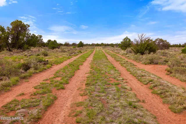 a view of an ocean beach and mountain