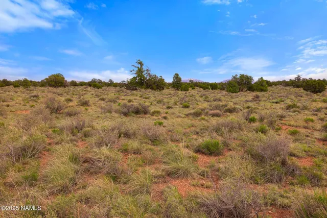 $25,000 | 50178020 D South Kaibab Road, Williams, AZ 86046