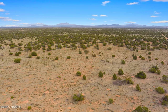 a view of city and ocean