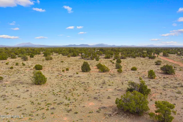a view of beach and ocean