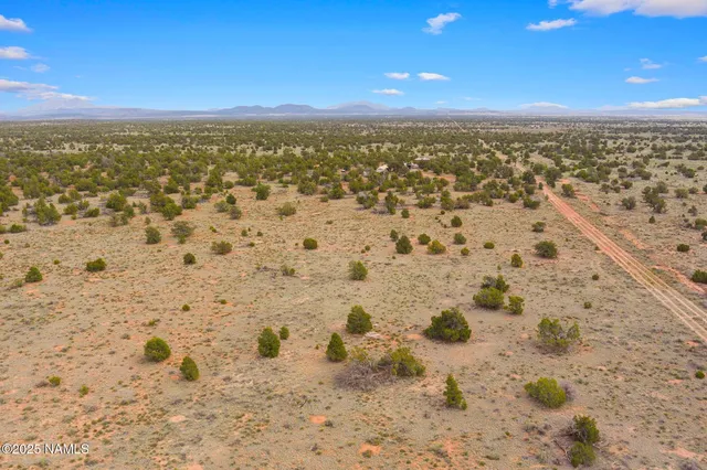 a view of city with ocean view