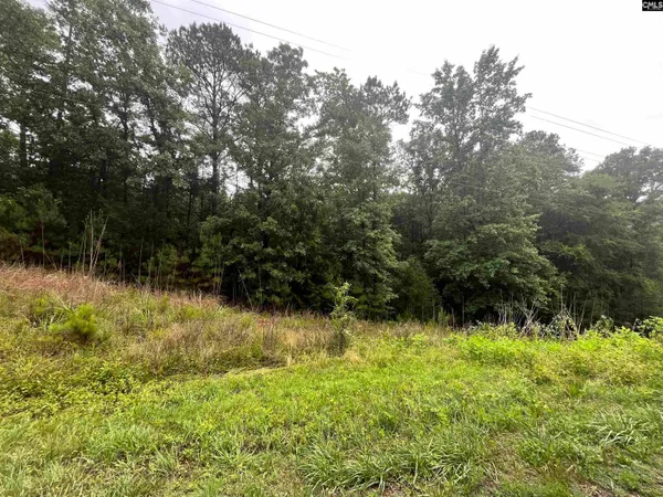 $999,900 | 0 Carlisle Whitmire Highway, Whitmire, SC 29178