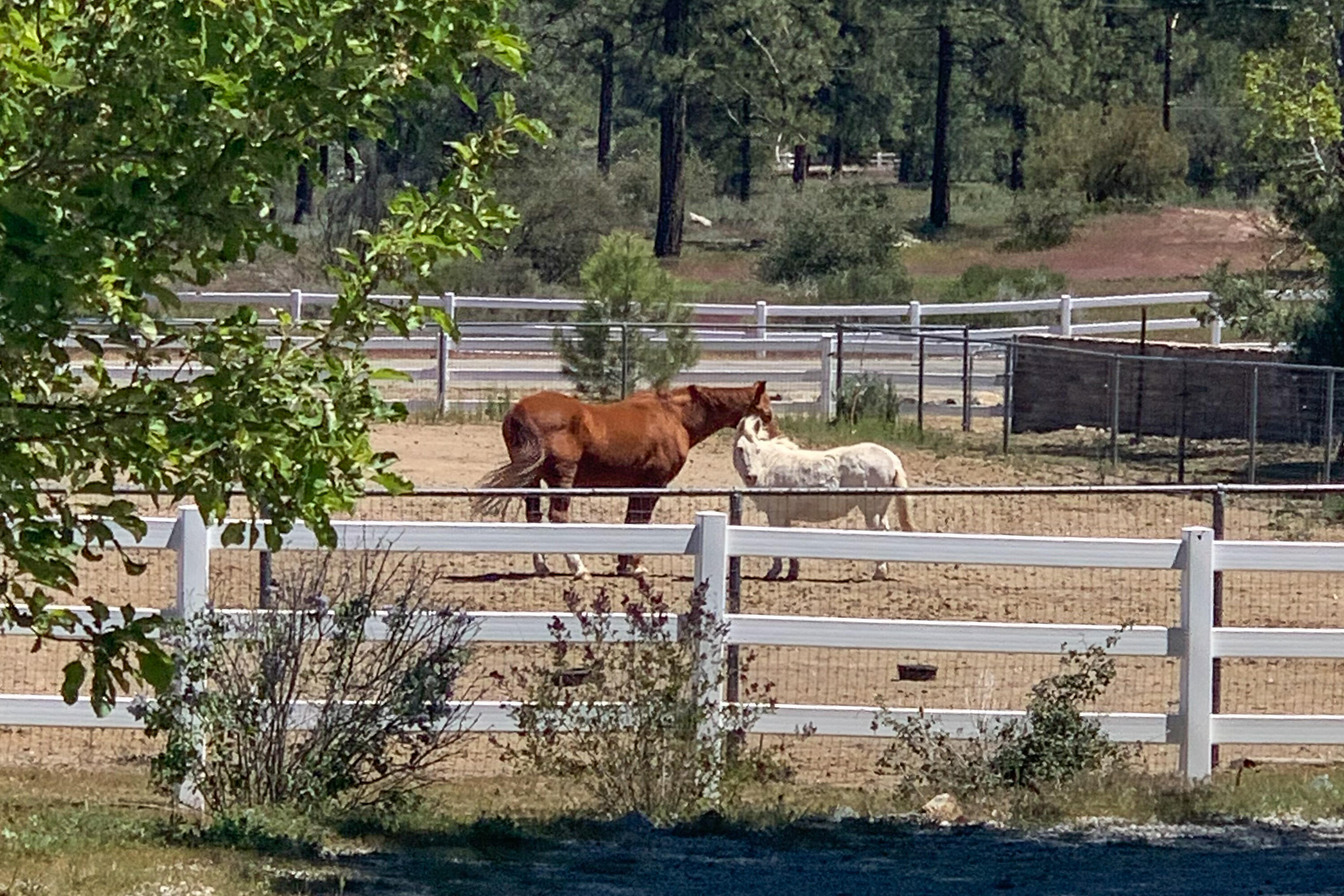 59985 Hop Patch Spring Road Mountain Center, CA 92561 - Photo 56 of 63 a view of outdoor space with seating area