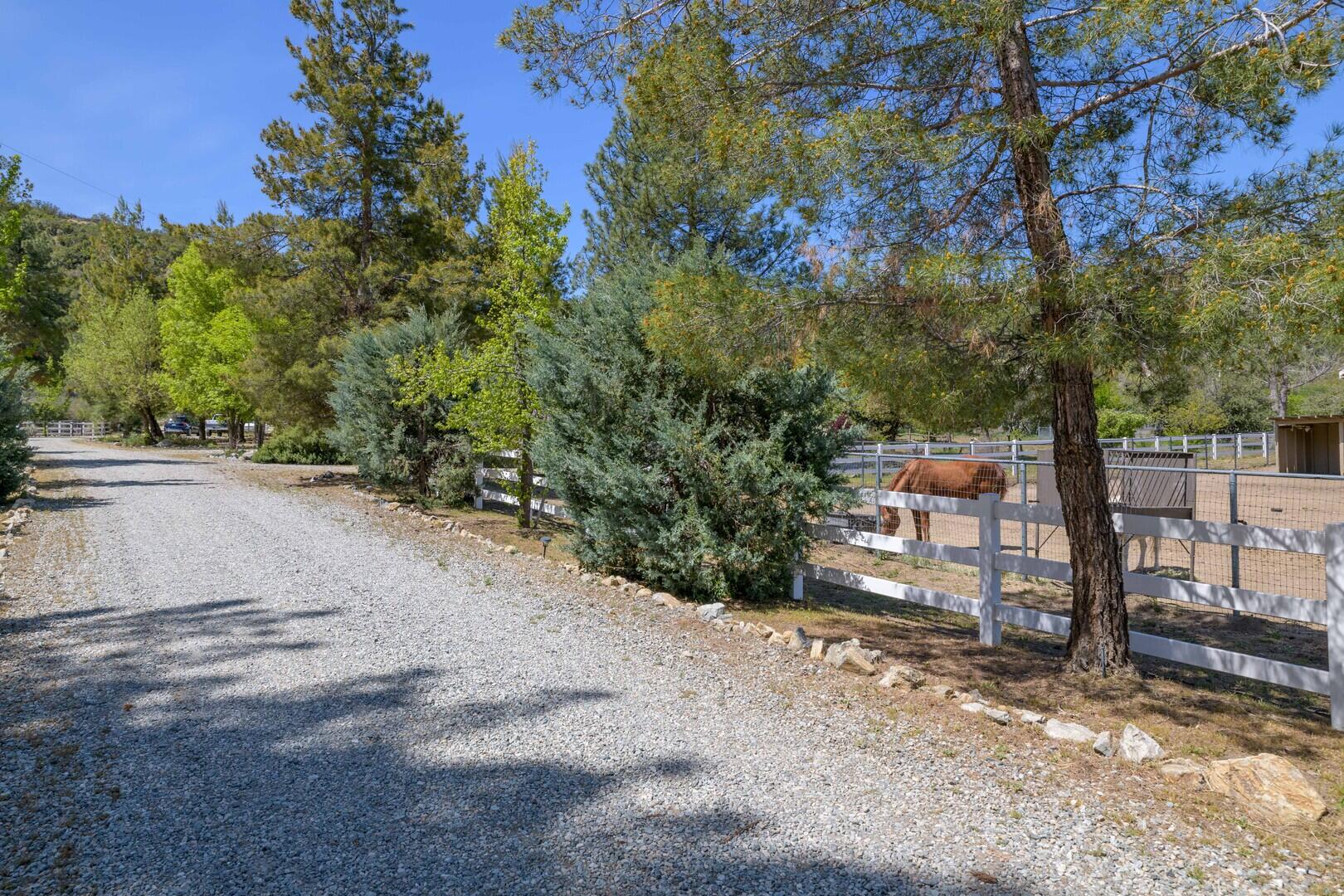 59985 Hop Patch Spring Road Mountain Center, CA 92561 - Photo 59 of 63 a view of a street with trees on both side of it
