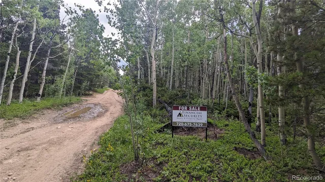 $73,750 | Tbd Roy Smith Road, Central City, CO 80427