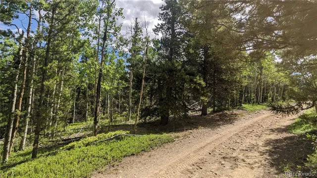 $73,750 | Tbd Roy Smith Road, Central City, CO 80427