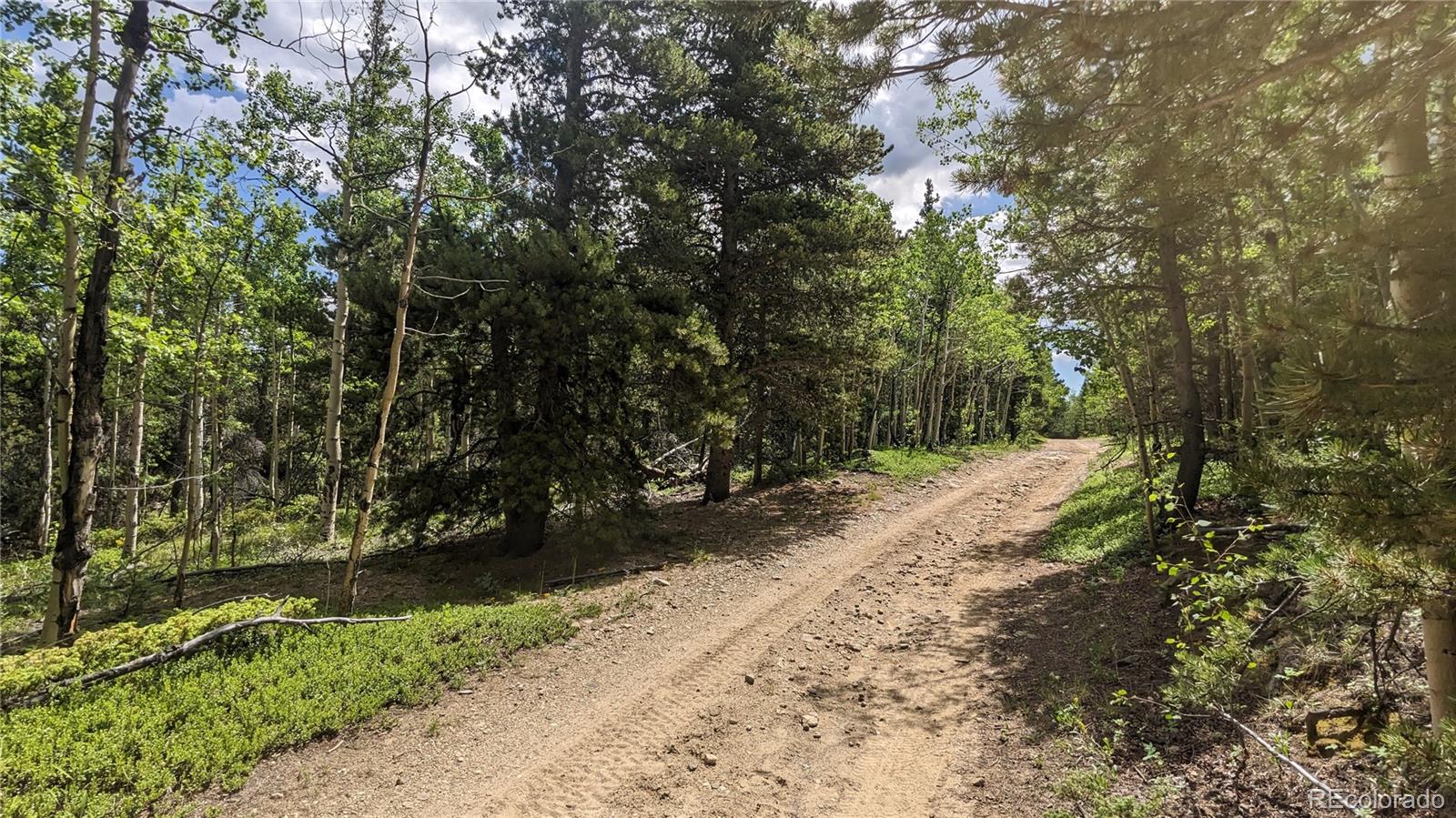 Tbd Roy Smith Road Central City, CO 80427 - Photo 12 of 18