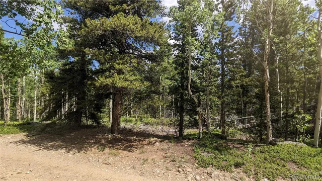 $73,750 | Tbd Roy Smith Road, Central City, CO 80427