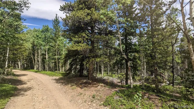 $73,750 | Tbd Roy Smith Road, Central City, CO 80427