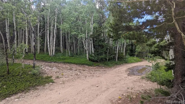 $73,750 | Tbd Roy Smith Road, Central City, CO 80427