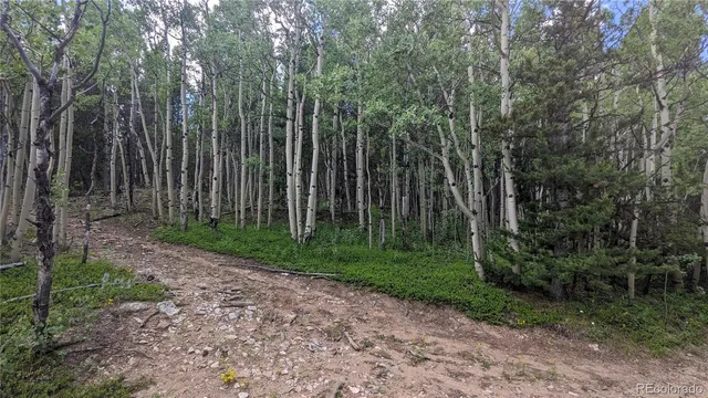$73,750 | Tbd Roy Smith Road, Central City, CO 80427