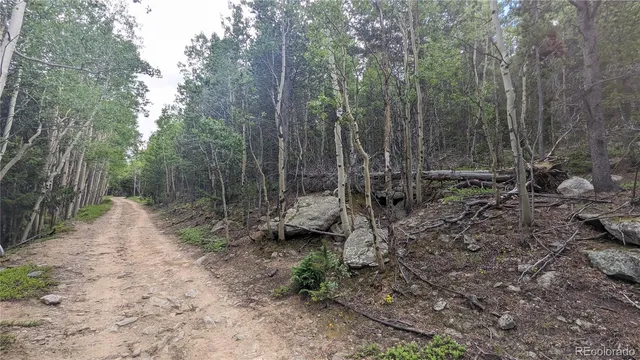 $73,750 | Tbd Roy Smith Road, Central City, CO 80427