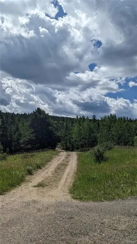 $73,750 | Tbd Roy Smith Road, Central City, CO 80427