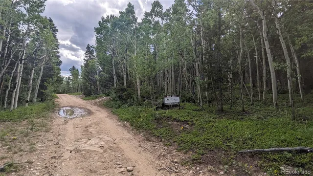 $73,750 | Tbd Roy Smith Road, Central City, CO 80427