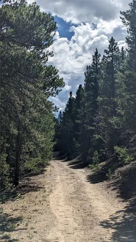 $73,750 | Tbd Roy Smith Road, Central City, CO 80427