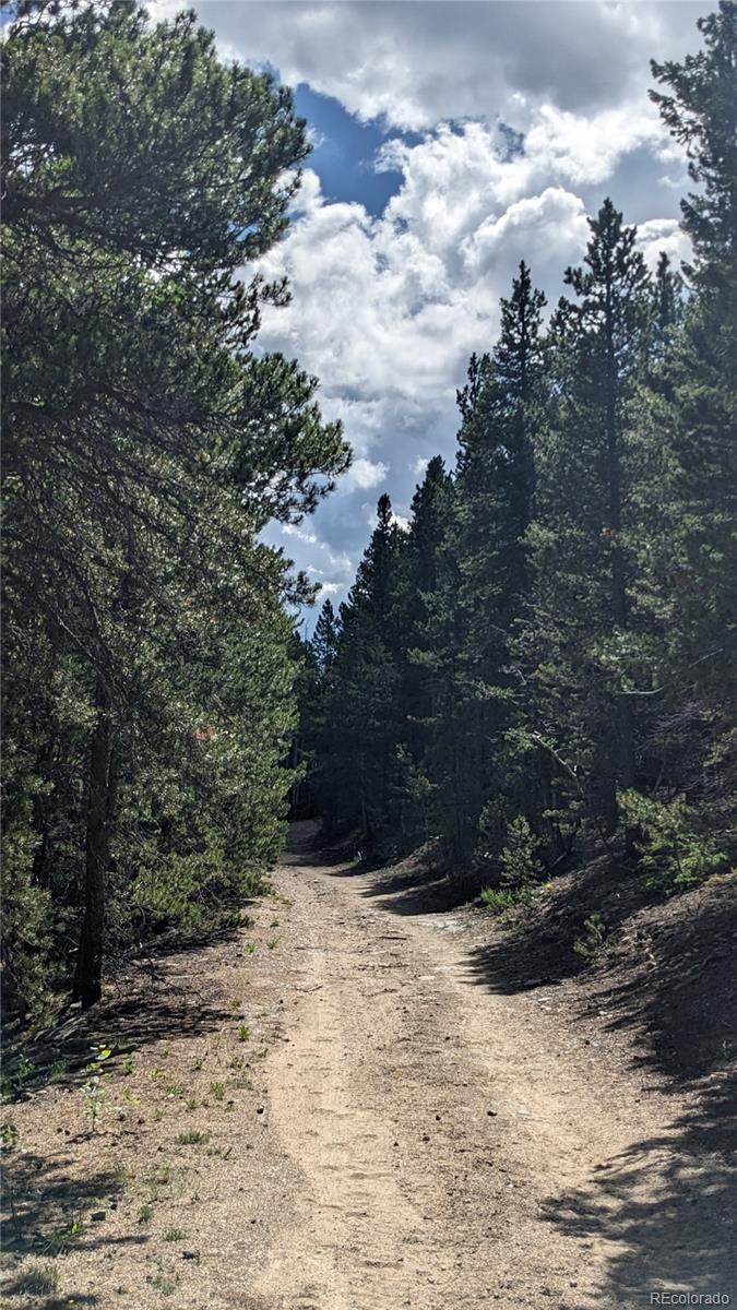 Tbd Roy Smith Road Central City, CO 80427 - Photo 6 of 18