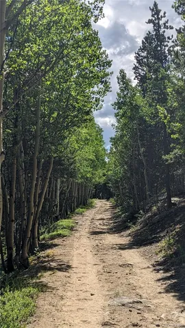 $73,750 | Tbd Roy Smith Road, Central City, CO 80427