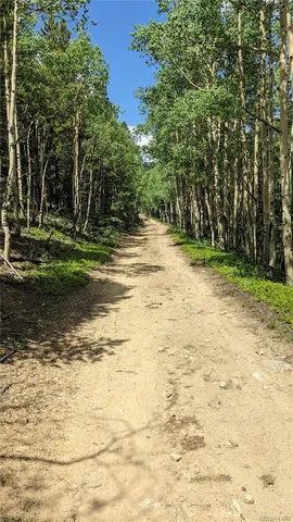 $73,750 | Tbd Roy Smith Road, Central City, CO 80427