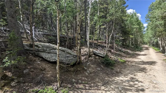 $73,750 | Tbd Roy Smith Road, Central City, CO 80427