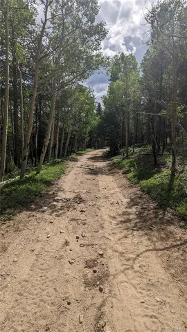 $73,750 | Tbd Roy Smith Road, Central City, CO 80427