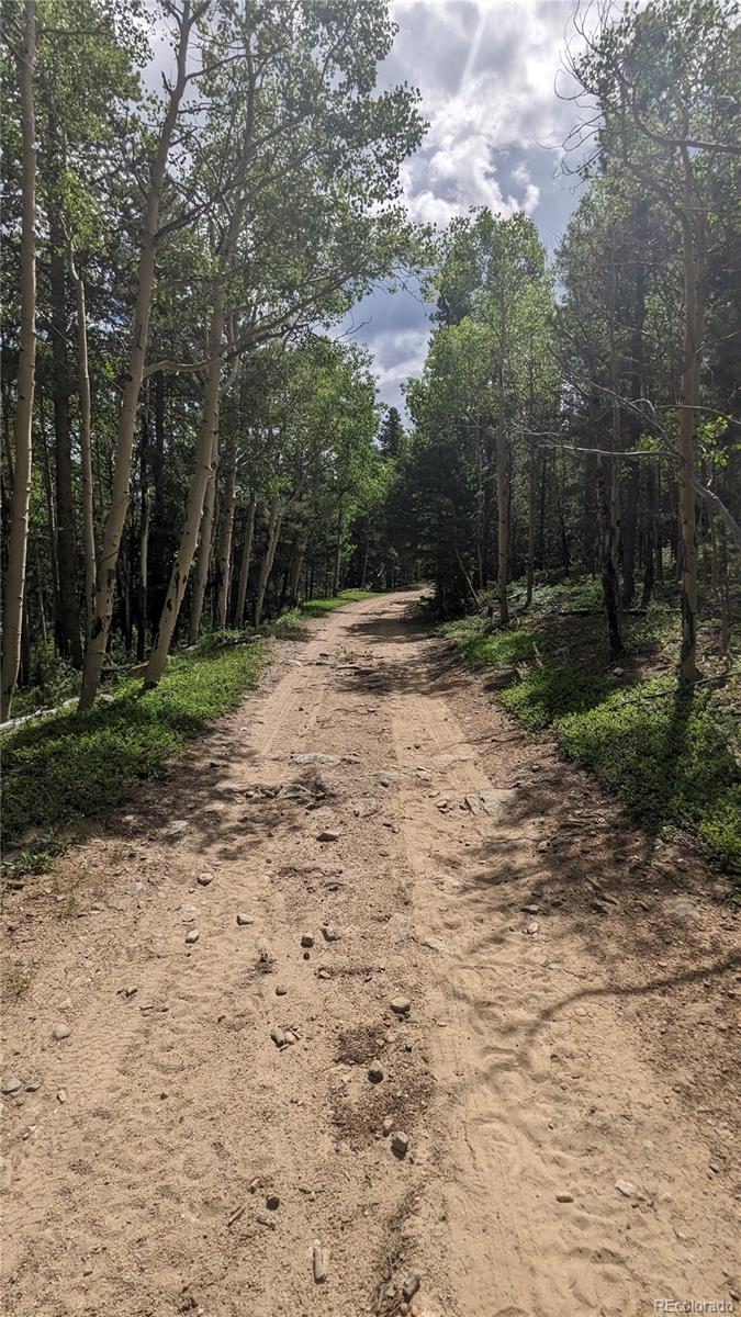 Tbd Roy Smith Road Central City, CO 80427 - Photo 10 of 18