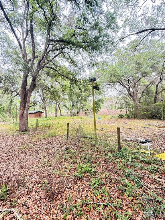6154 Neff Lake Road Brooksville, FL 34601 - Photo 11 of 17