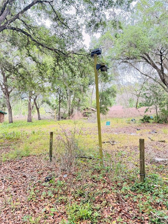 6154 Neff Lake Road Brooksville, FL 34601 - Photo 12 of 17