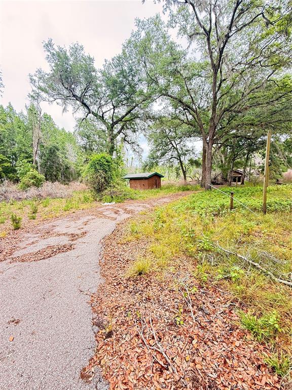 6154 Neff Lake Road Brooksville, FL 34601 - Photo 14 of 17