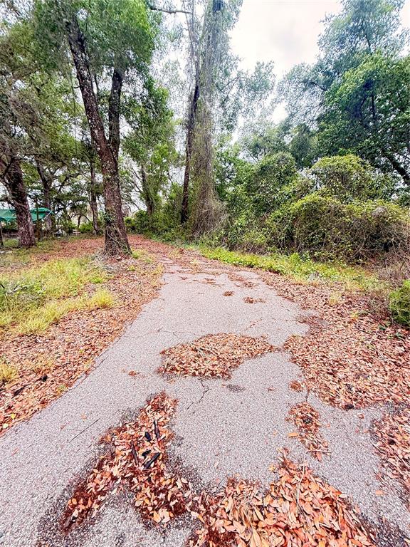 6154 Neff Lake Road Brooksville, FL 34601 - Photo 16 of 17
