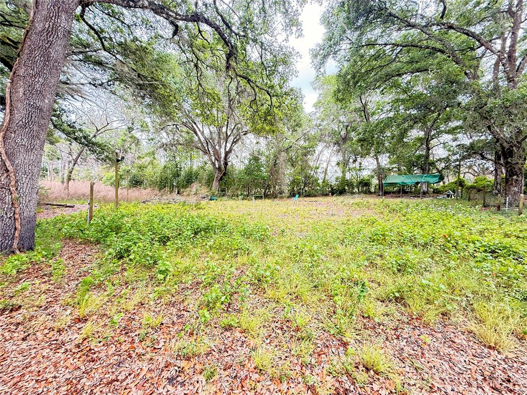 6154 Neff Lake Road Brooksville, FL 34601 - Photo 17 of 17