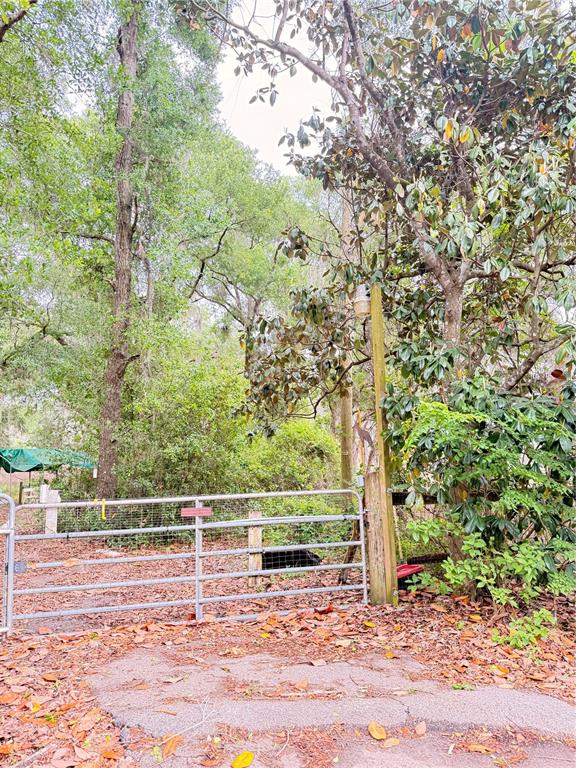 6154 Neff Lake Road Brooksville, FL 34601 - Photo 9 of 17