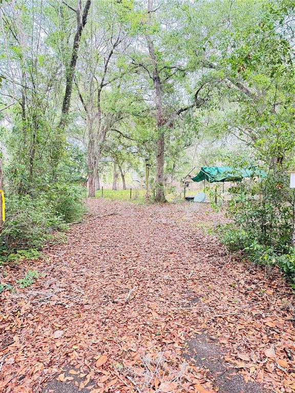 6154 Neff Lake Road Brooksville, FL 34601 - Photo 10 of 17