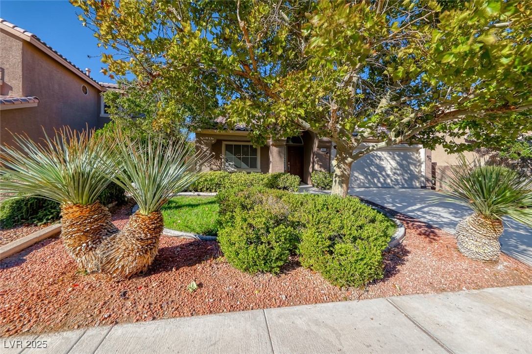 2401 Flower Spring Street Las Vegas, NV 89134 - Photo 2 of 42 Obstructed view of property with stucco siding, concrete driveway, and an attached garage