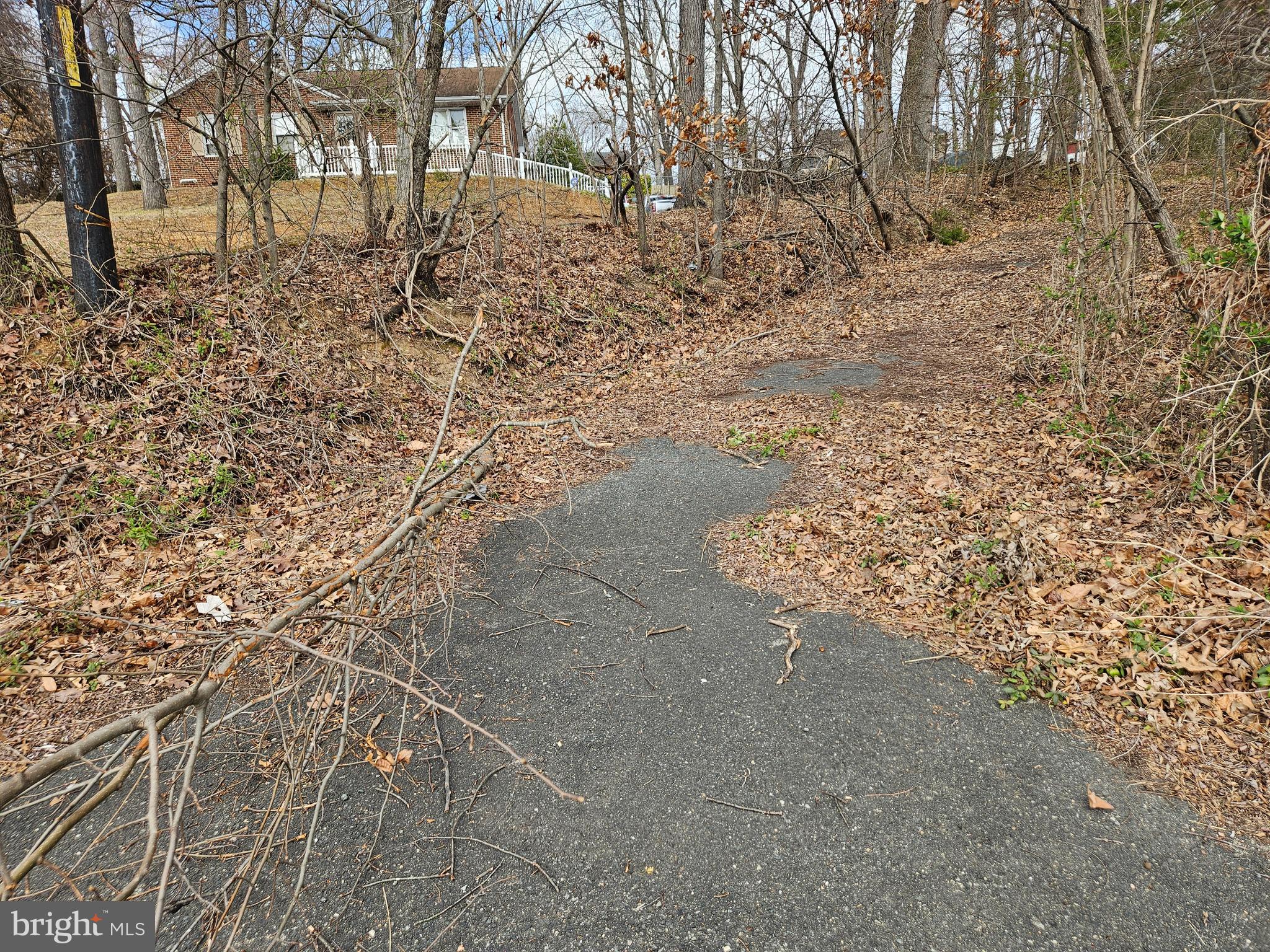 255 Butler Road Fredericksburg, VA 22405 - Photo 2 of 6 a view of yard covered with snow in the background