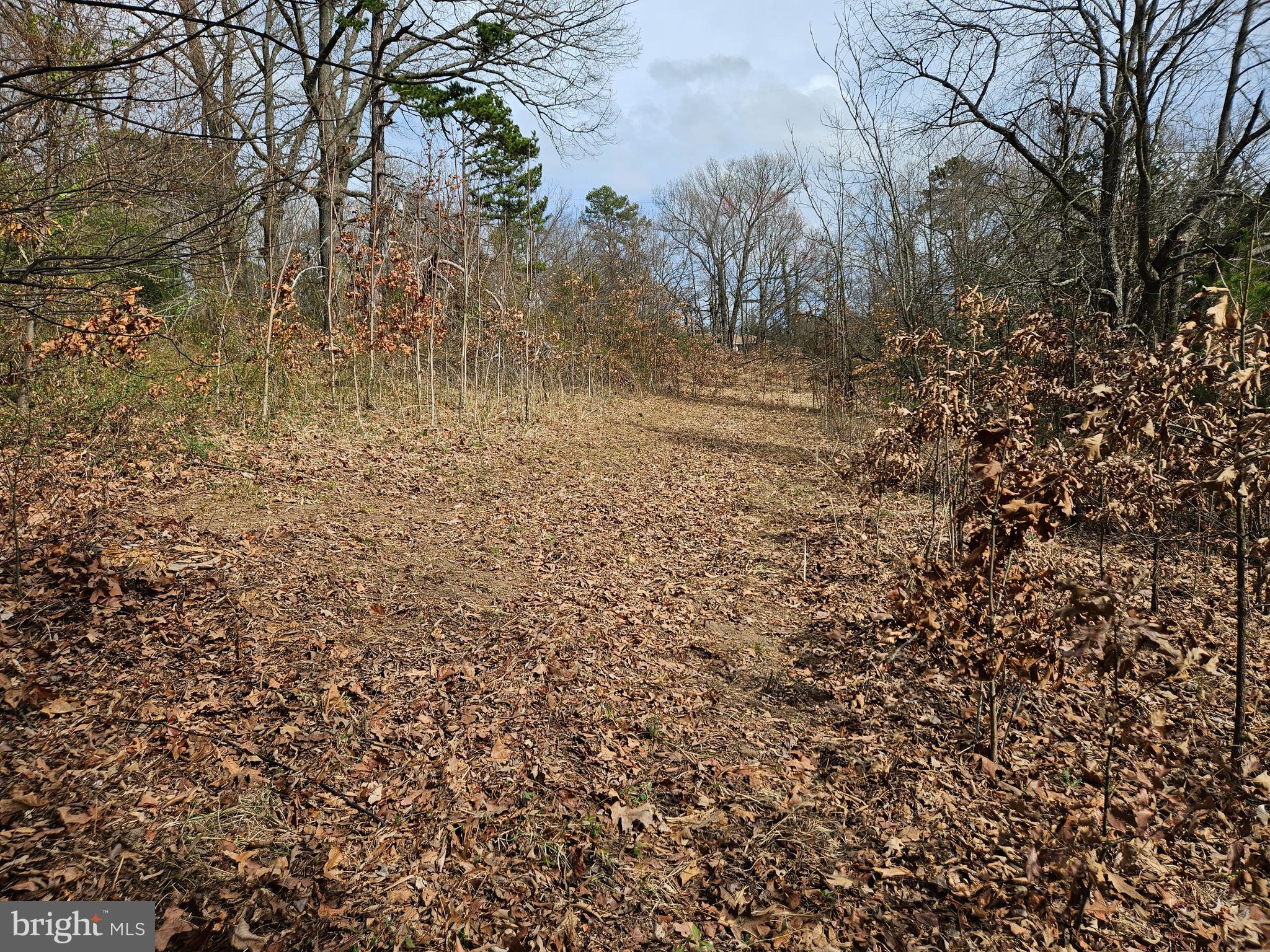 255 Butler Road Fredericksburg, VA 22405 - Photo 3 of 6