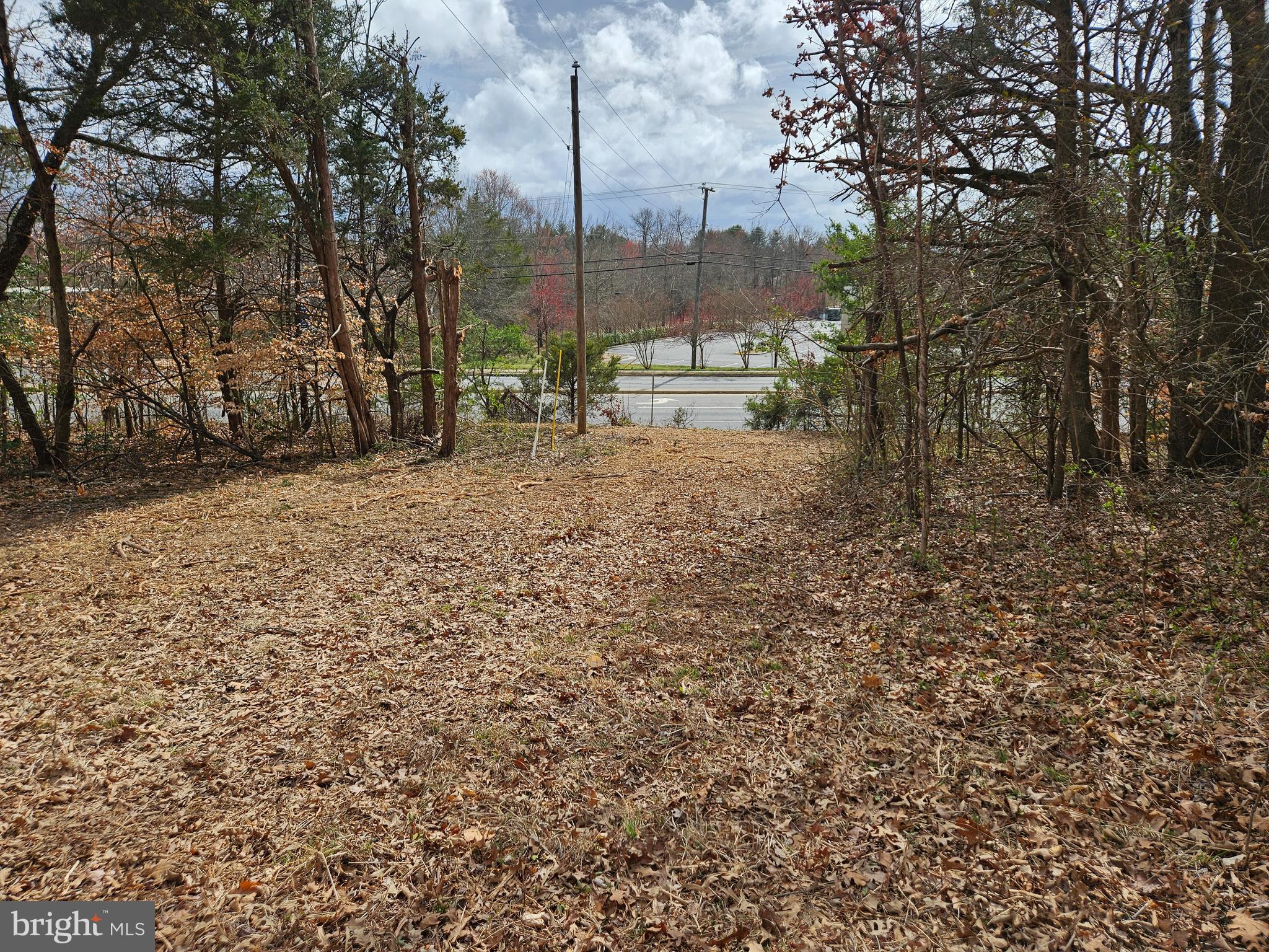 255 Butler Road Fredericksburg, VA 22405 - Photo 4 of 6 a view of a yard with plants and trees