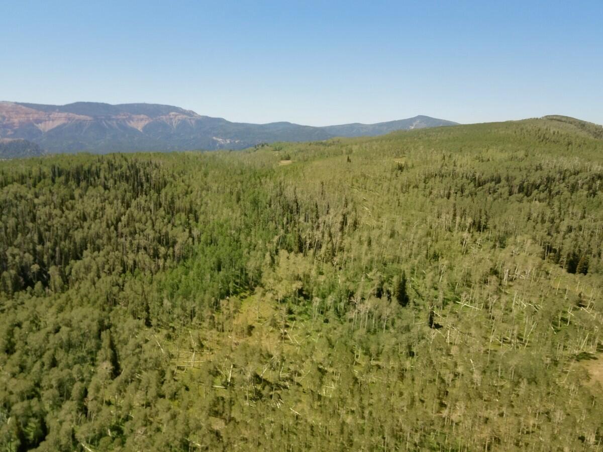 40 Acres Summit Mountain Road Brian Head, UT 84719 - Photo 26 of 32 Aerial4