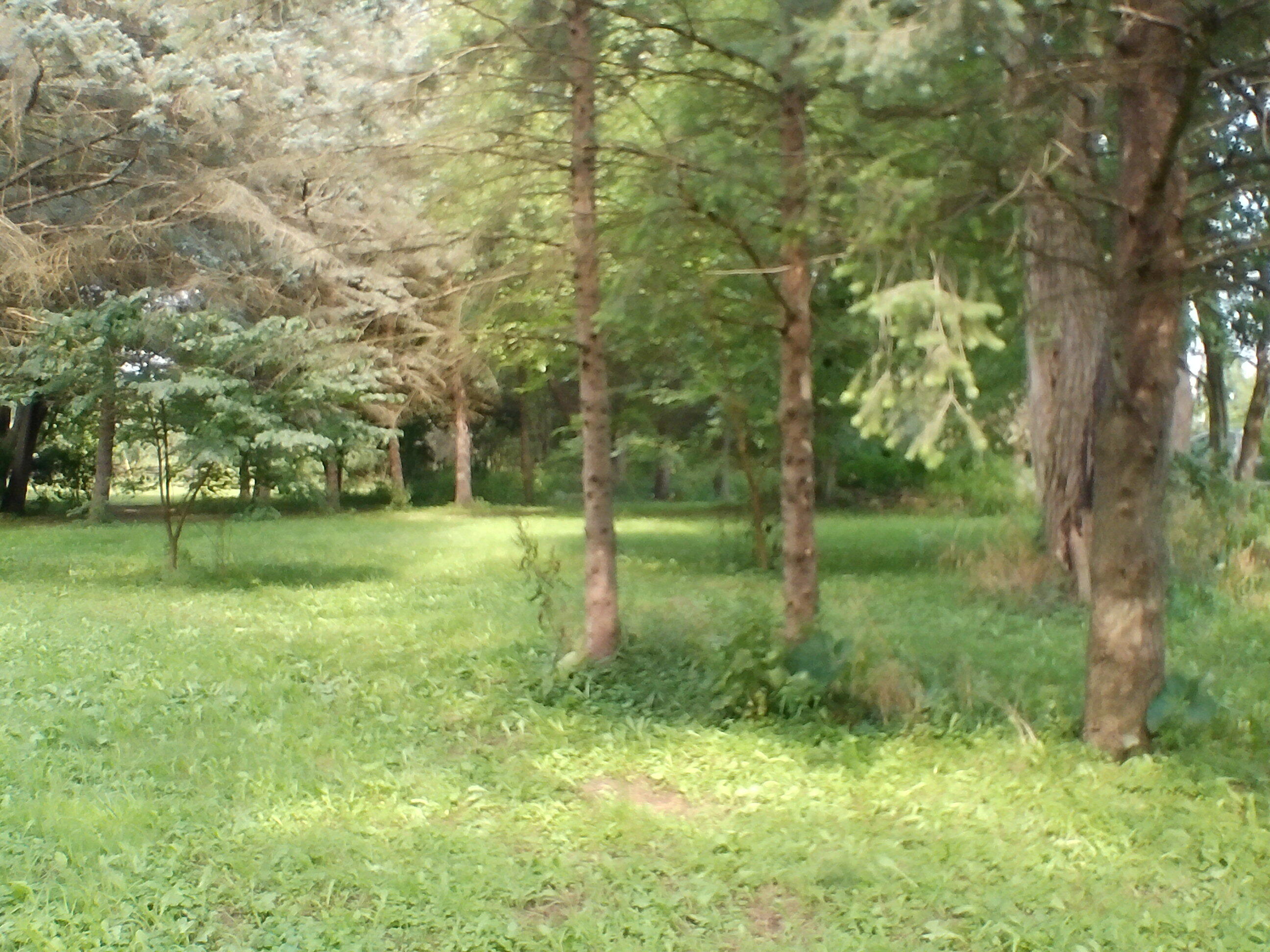 lot