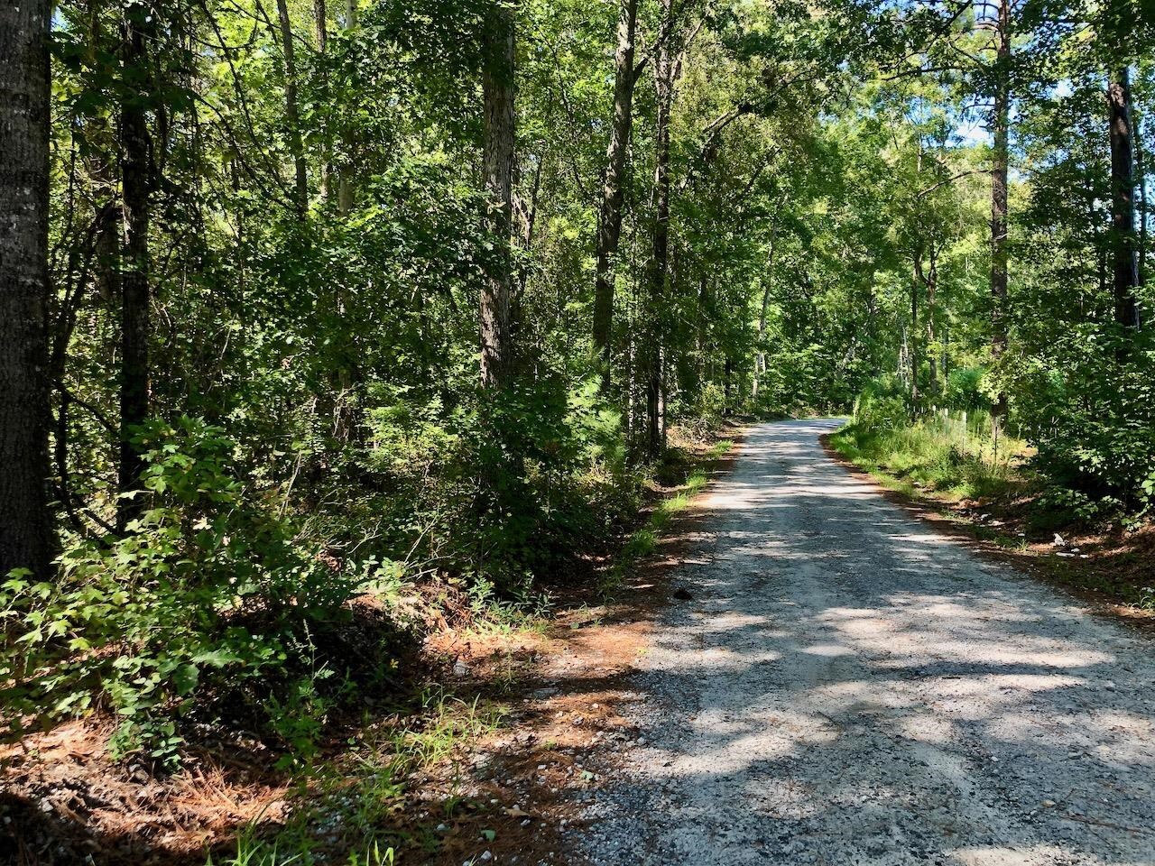 0 Rattaree Road Fairburn, GA 30213 - Photo 1 of 1 Gallery Image 1