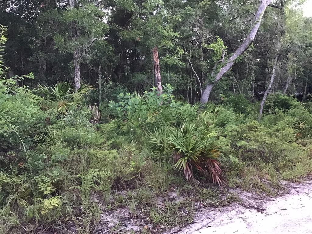 Windell New Port Richey, FL 34654 - Photo 1 of 1 Gallery Image 1
