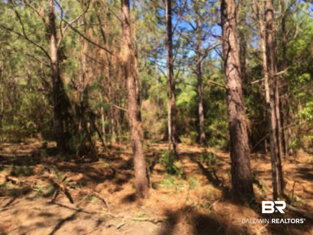38540 County Road 39 Stapleton, AL 36578 - Photo 6 of 15