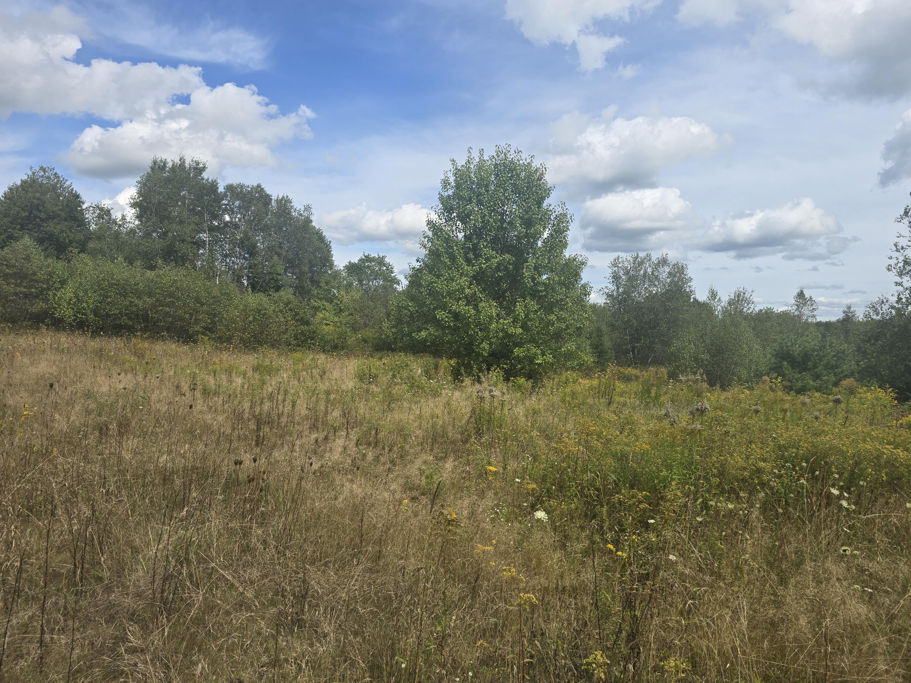 467 Lowell Town Road Wiscasset, ME 04578 - Photo 7 of 8 20250908_124416 (1)