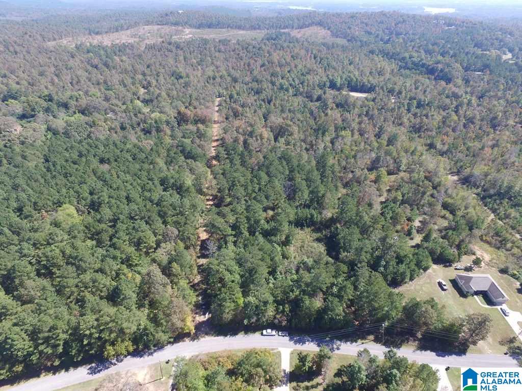 Sprayberry Road, Unit 103 Cropwell, AL 35054 - Photo 1 of 48