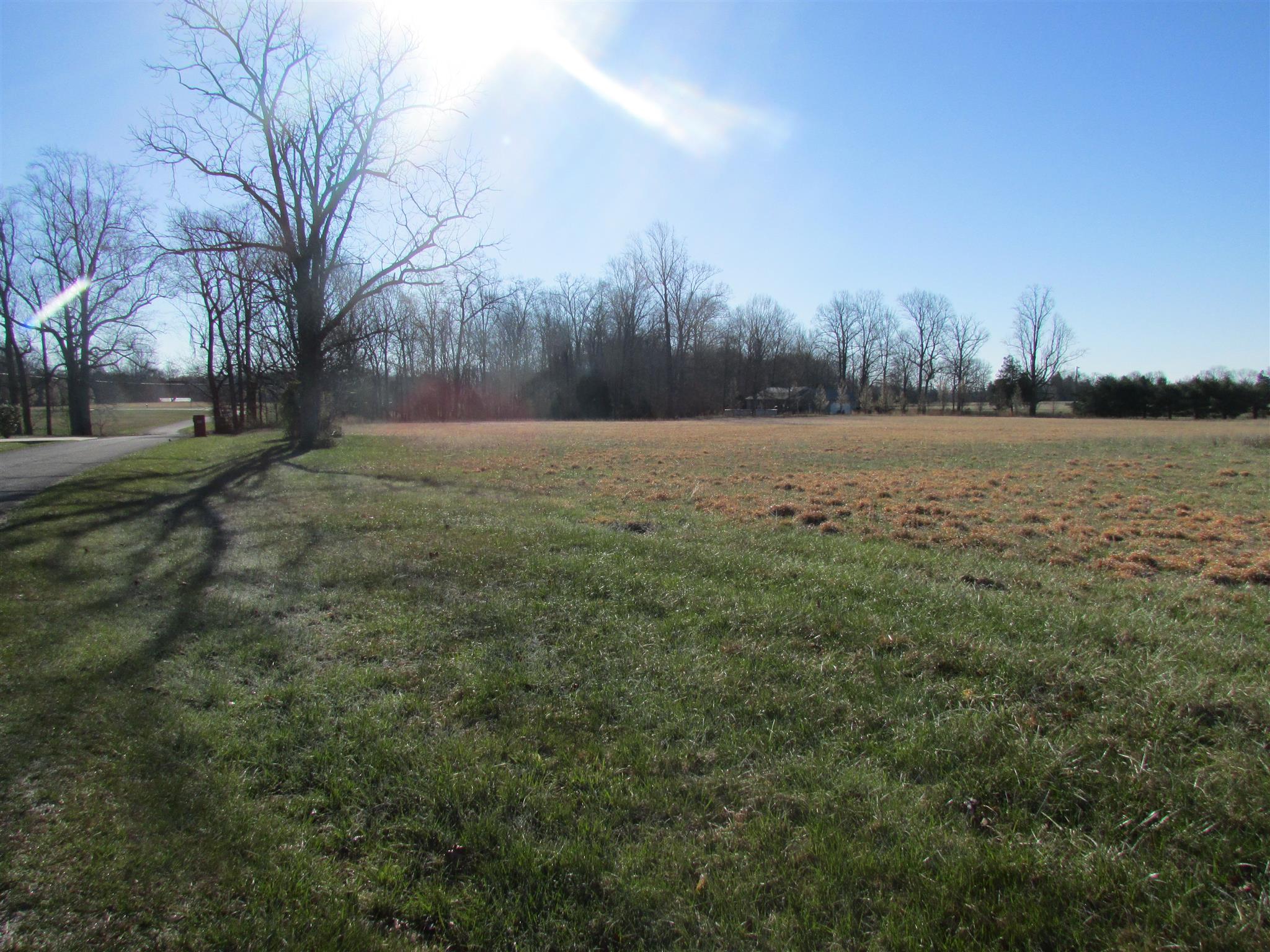 1250 Oak Hill Road Manchester, TN 37355 - Photo 2 of 9 a view of a field with large trees