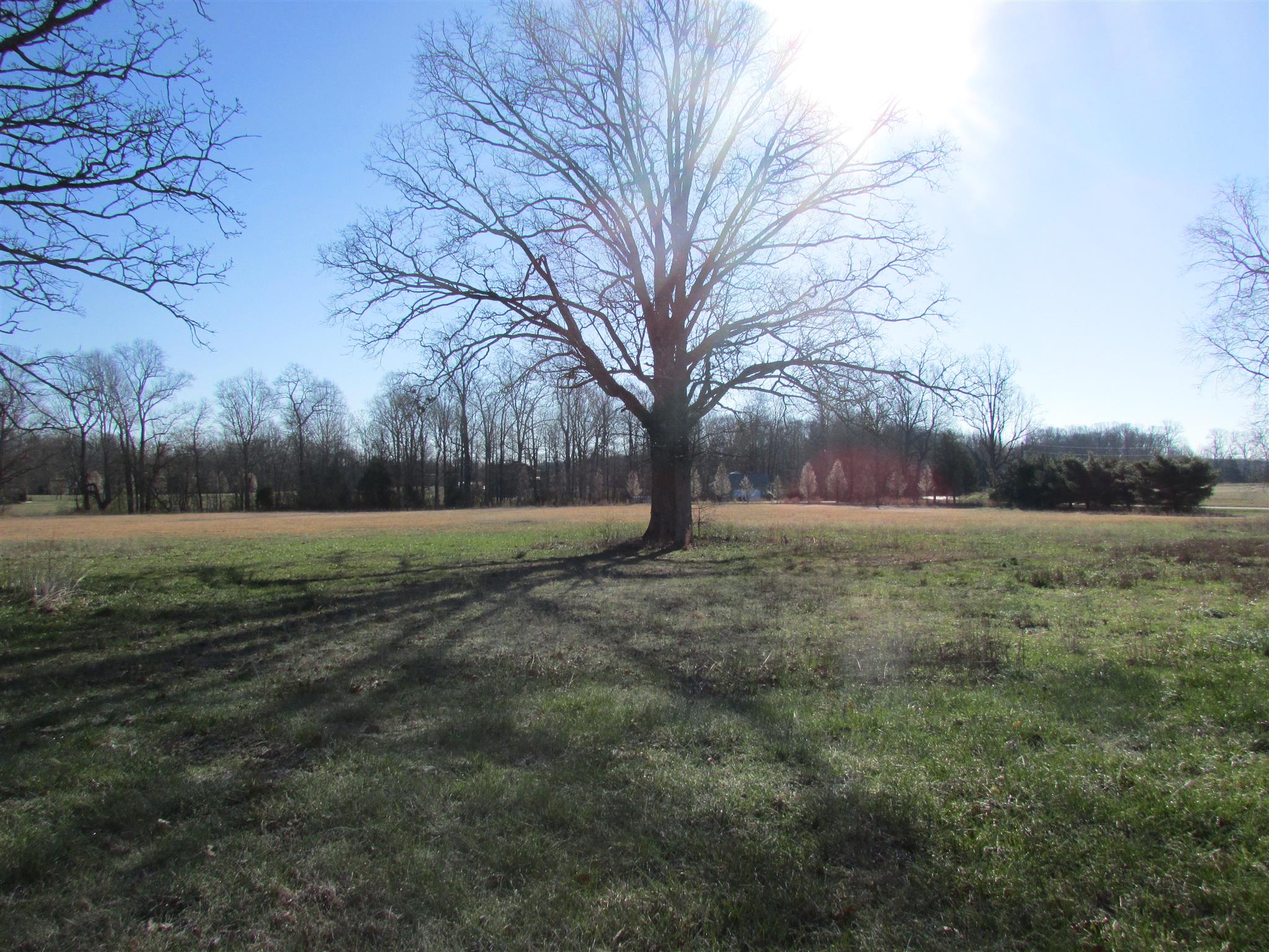 1250 Oak Hill Road Manchester, TN 37355 - Photo 5 of 9 a view of outdoor space with green field