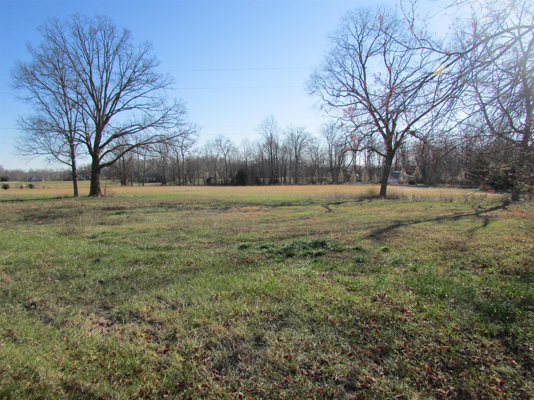 1250 Oak Hill Road Manchester, TN 37355 - Photo 6 of 9 a view of dirt field with trees