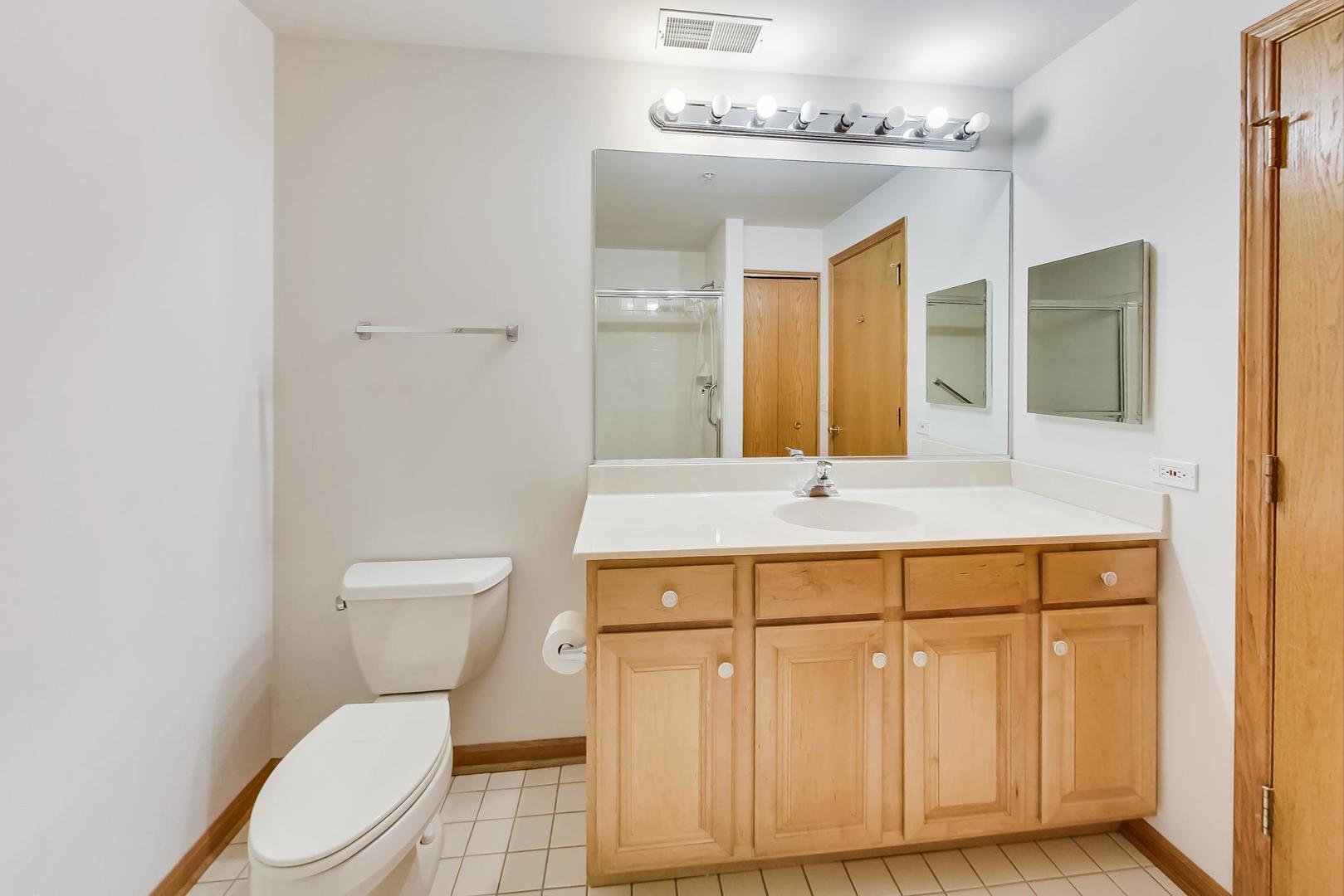 1761 Pavilion Way, Unit 306 Park Ridge, IL 60068 - Photo 10 of 19 a bathroom with a sink a toilet and mirror