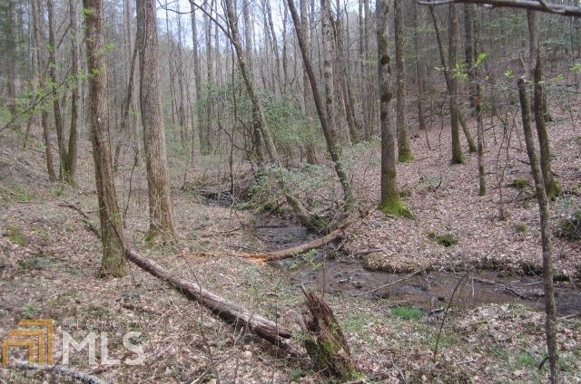 0 Stillhouse Creek Road Ellijay, GA 30540 - Photo 1 of 1 Gallery Image 1