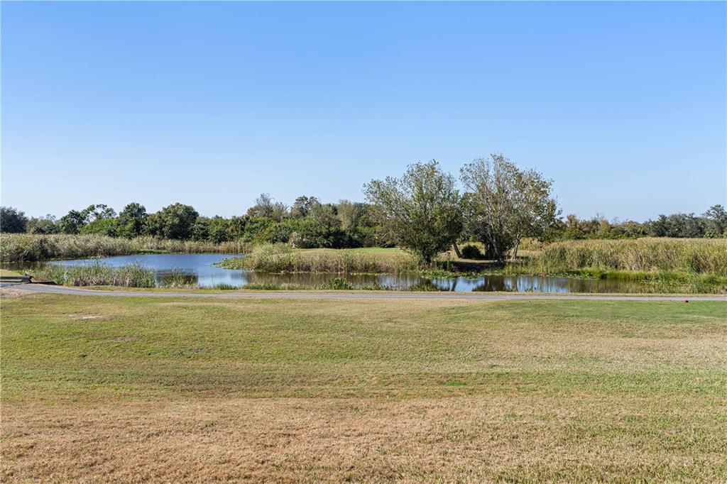 8289 Southwest Aviary Road Arcadia, FL 34269 - Photo 6 of 70